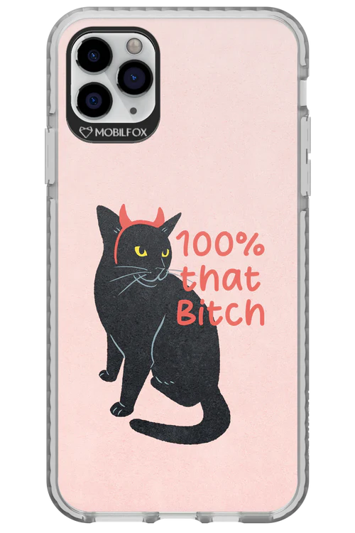 Hundred 2.0 - Apple iPhone 11 Pro Max - Image 8