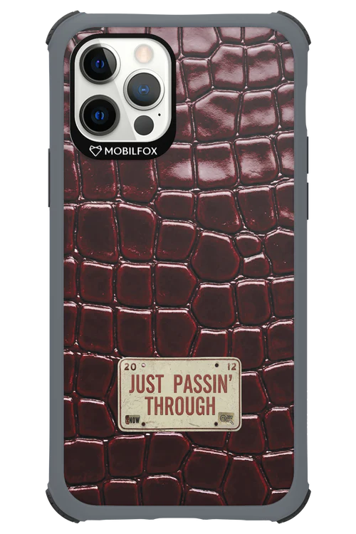 Just passin through 2.0 - Apple iPhone 12 Pro - Image 12