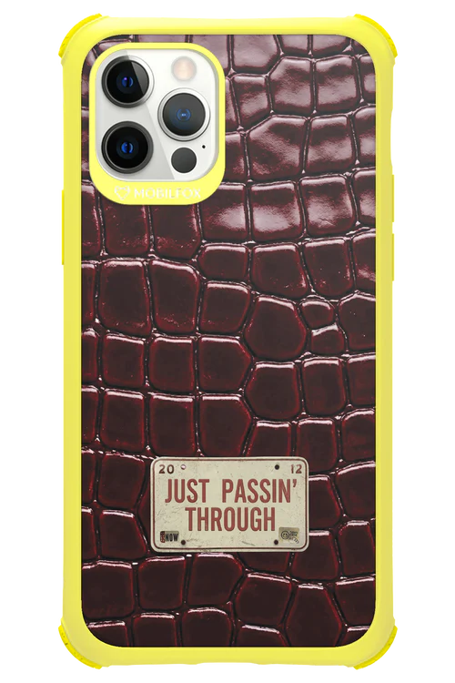 Just passin through 2.0 - Apple iPhone 12 Pro - Image 14