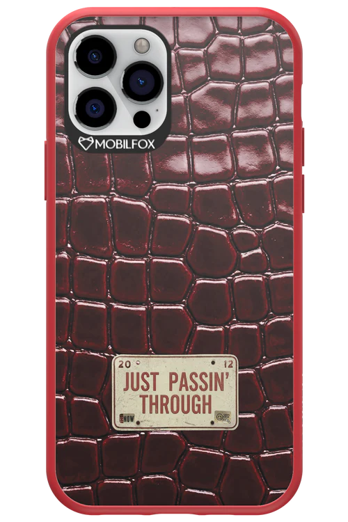 Just passin through 2.0 - Apple iPhone 12 Pro - Image 5