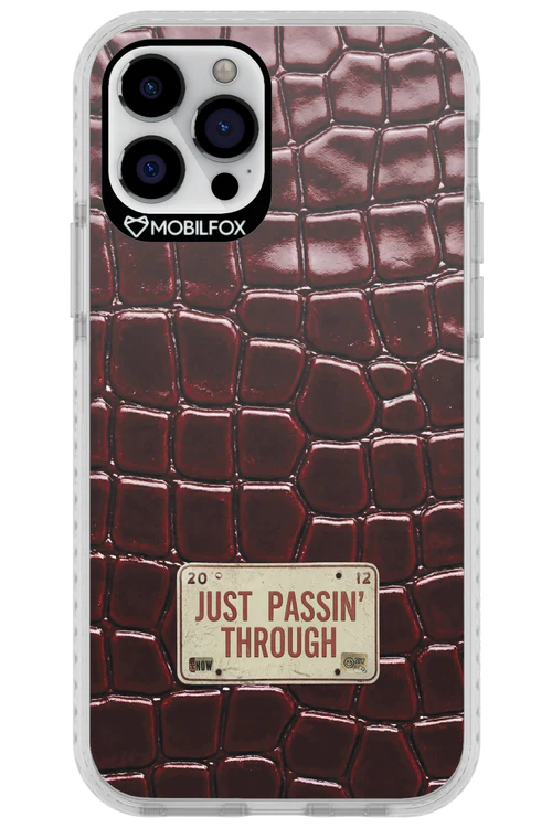 Just passin through 2.0 - Apple iPhone 12 Pro - Image 8
