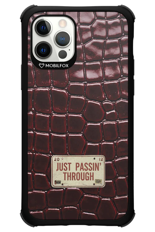 Just passin through 2.0 - Apple iPhone 12 Pro - Image 9