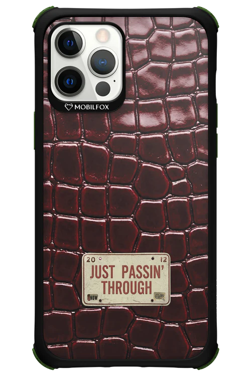 Just passin through 2.0 - Apple iPhone 12 Pro Max - Image 10