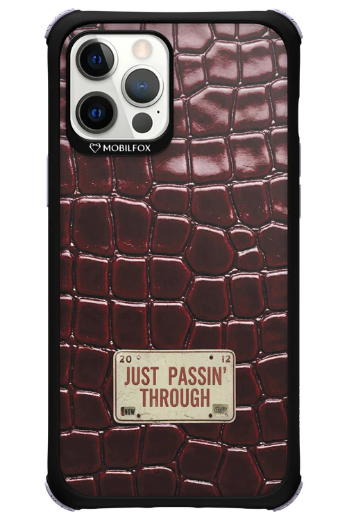 Just passin through 2.0 - Apple iPhone 12 Pro Max - Image 11