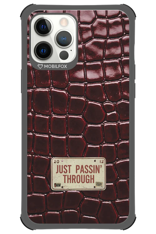 Just passin through 2.0 - Apple iPhone 12 Pro Max - Image 12