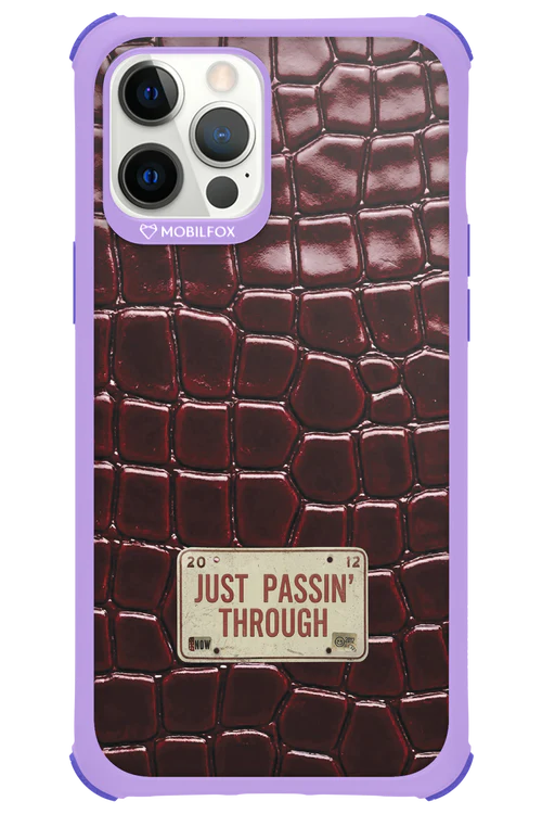 Just passin through 2.0 - Apple iPhone 12 Pro Max - Image 15