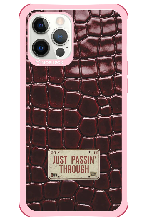 Just passin through 2.0 - Apple iPhone 12 Pro Max - Image 16