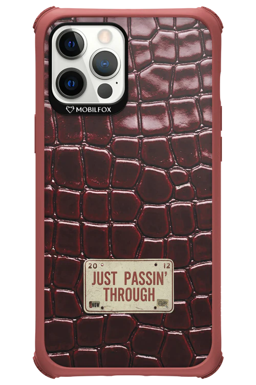 Just passin through 2.0 - Apple iPhone 12 Pro Max - Image 20