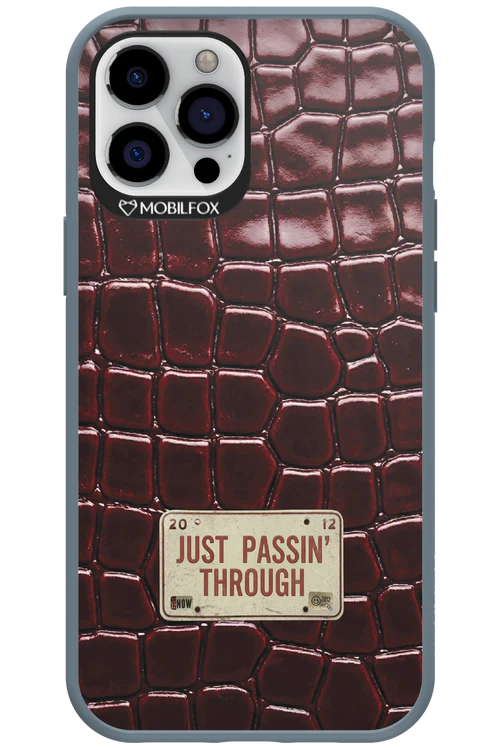Just passin through 2.0 - Apple iPhone 12 Pro Max - Image 3
