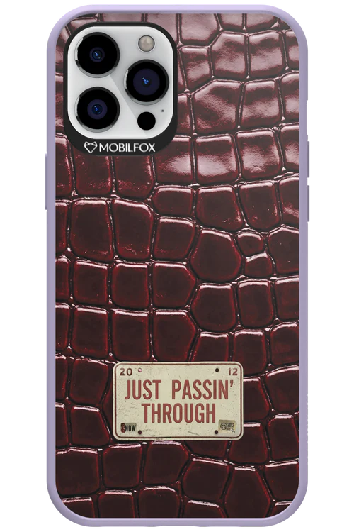 Just passin through 2.0 - Apple iPhone 12 Pro Max - Image 4