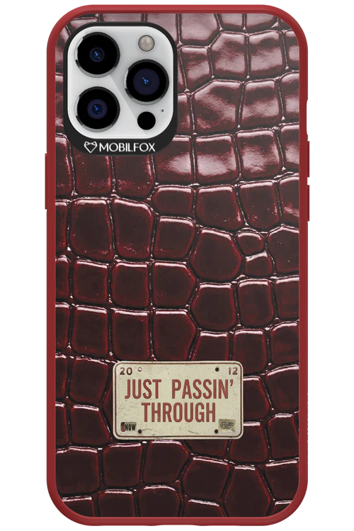 Just passin through 2.0 - Apple iPhone 12 Pro Max - Image 5