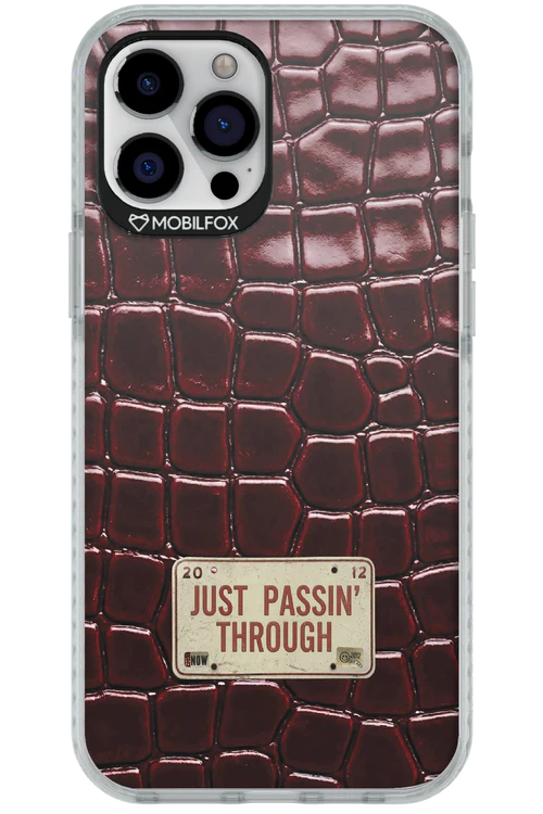 Just passin through 2.0 - Apple iPhone 12 Pro Max - Image 8