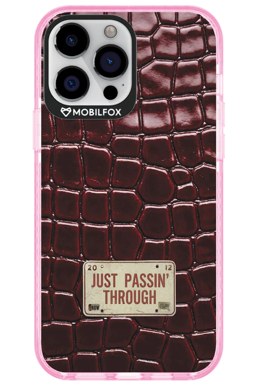 Just passin through 2.0 - Apple iPhone 13 Pro Max - Image 9