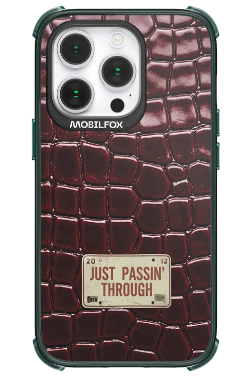 Just passin through 2.0 - Apple iPhone 14 Pro - Image 19