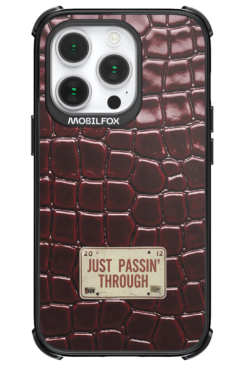 Just passin through 2.0 - Apple iPhone 14 Pro - Image 20