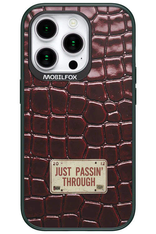Just passin through 2.0 - Apple iPhone 15 Pro - Image 4
