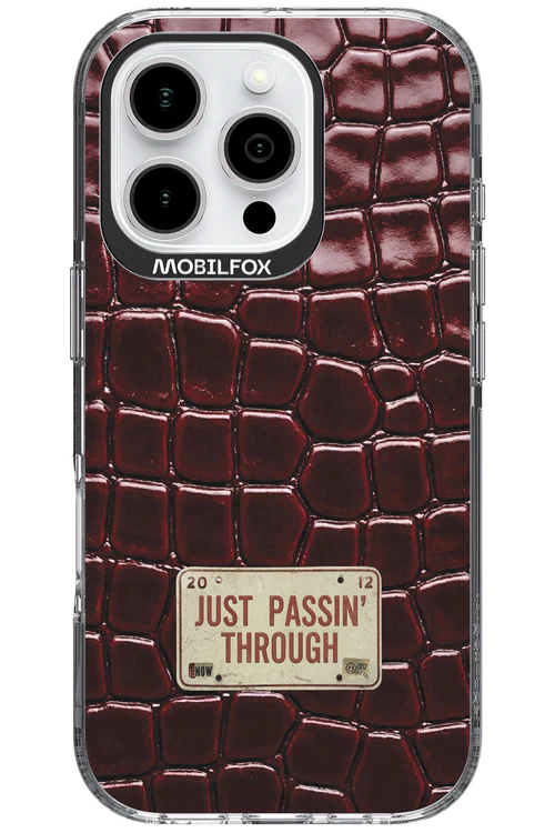 Just passin through 2.0 - Apple iPhone 16 Pro - Image 10