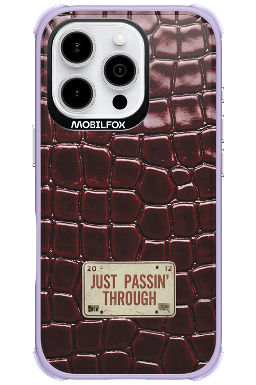 Just passin through 2.0 - Apple iPhone 16 Pro - Image 17