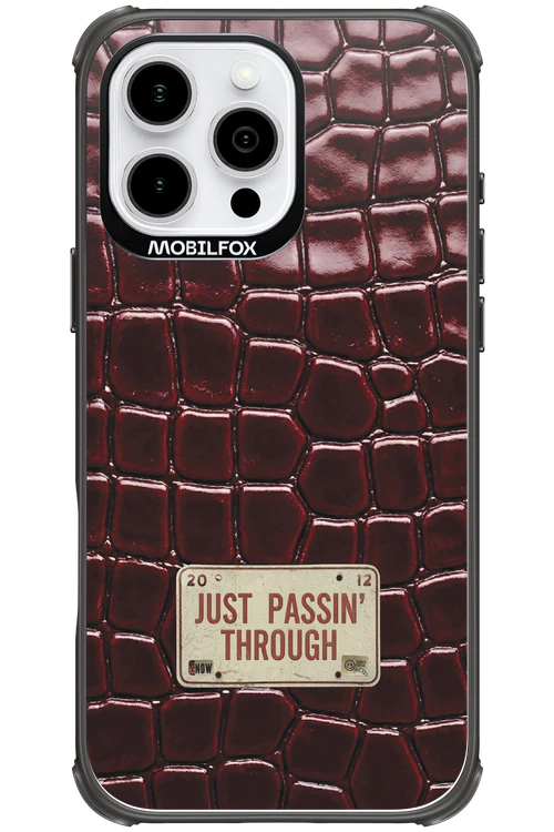 Just passin through 2.0 - Apple iPhone 16 Pro Max - Image 16