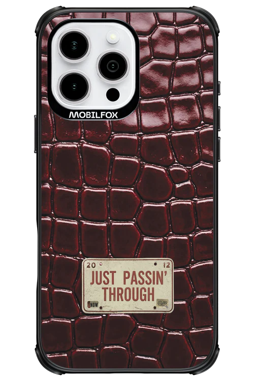 Just passin through 2.0 - Apple iPhone 16 Pro Max - Image 19