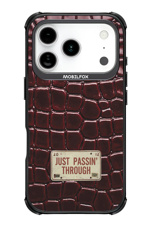 Just passin through 2.0 - Apple iPhone 17 Pro - Image 10