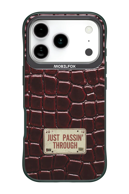 Just passin through 2.0 - Apple iPhone 17 Pro - Image 4