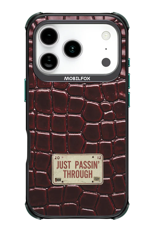 Just passin through 2.0 - Apple iPhone 17 Pro - Image 8