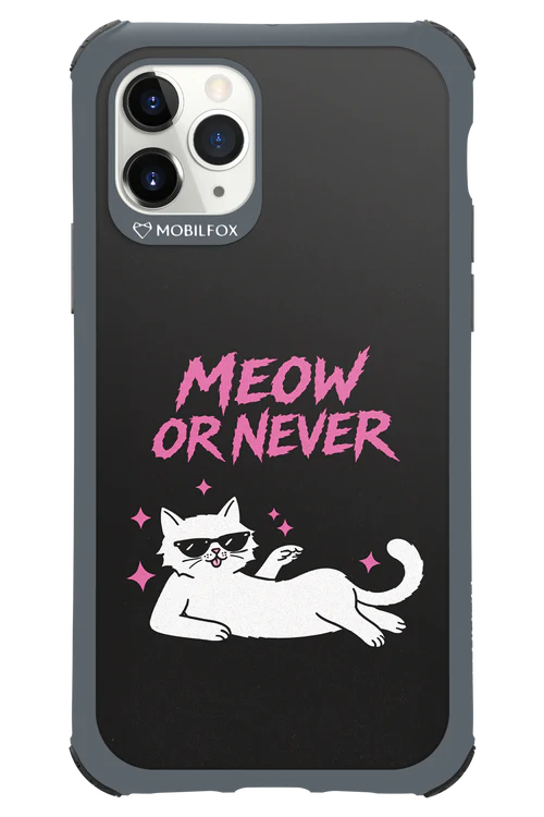 MEOW OR NEVER 2.0 - Apple iPhone 11 Pro - Image 12