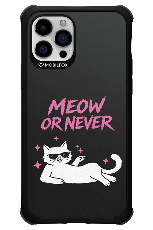 MEOW OR NEVER 2.0 - Apple iPhone 12 Pro - Image 17