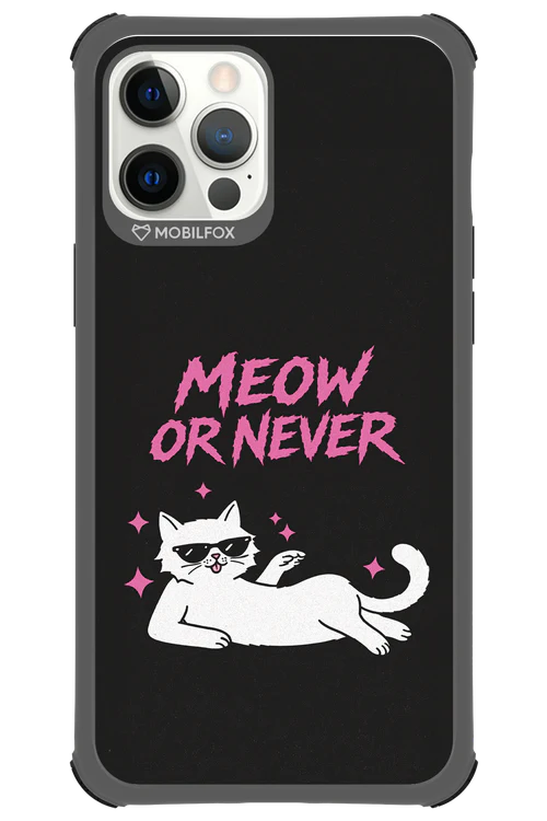 MEOW OR NEVER 2.0 - Apple iPhone 12 Pro Max - Image 12