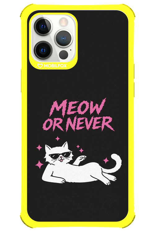 MEOW OR NEVER 2.0 - Apple iPhone 12 Pro Max - Image 14