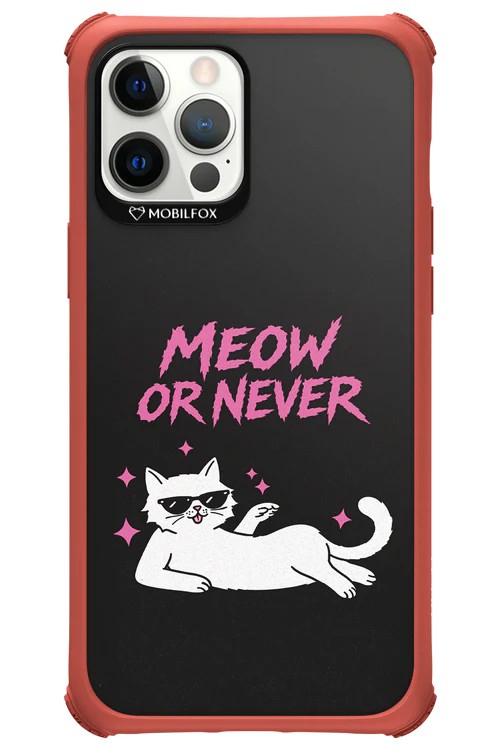 MEOW OR NEVER 2.0 - Apple iPhone 12 Pro Max - Image 21
