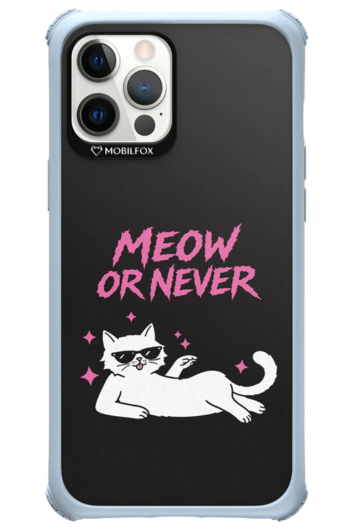 MEOW OR NEVER 2.0 - Apple iPhone 12 Pro Max - Image 22