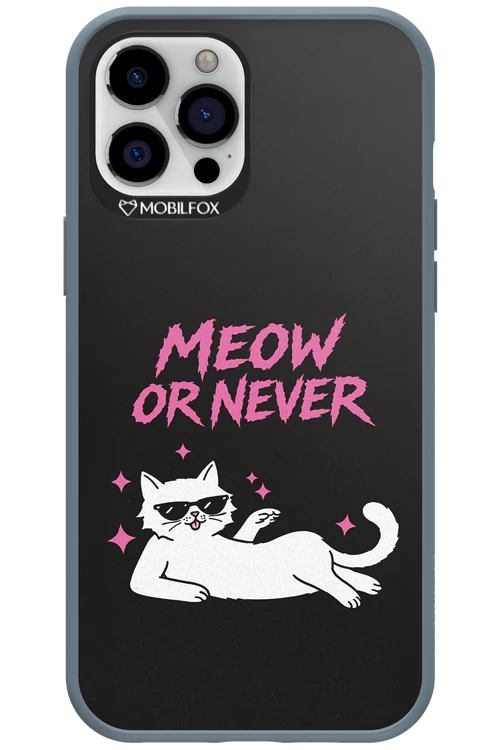 MEOW OR NEVER 2.0 - Apple iPhone 12 Pro Max - Image 3