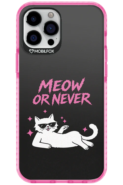 MEOW OR NEVER 2.0 - Apple iPhone 12 Pro Max - Image 7