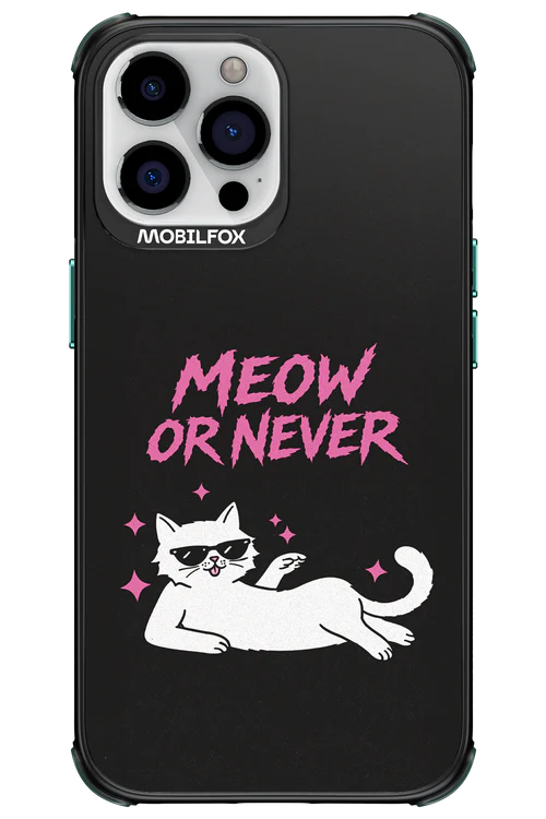 MEOW OR NEVER 2.0 - Apple iPhone 13 Pro Max - Image 18