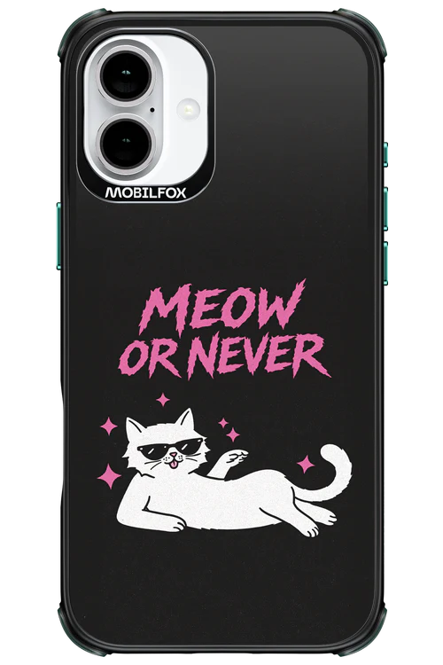 MEOW OR NEVER 2.0 - Apple iPhone 16 Plus - Image 13