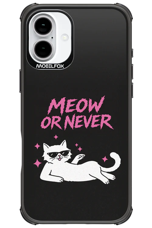 MEOW OR NEVER 2.0 - Apple iPhone 16 Plus - Image 15