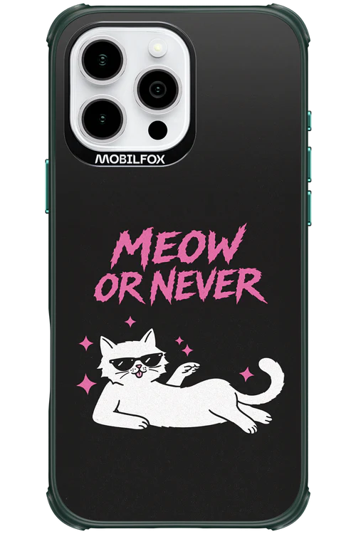 MEOW OR NEVER 2.0 - Apple iPhone 16 Pro Max - Image 18