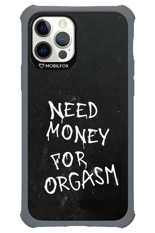 Orgasm 2.0 - Apple iPhone 12 Pro - Image 13