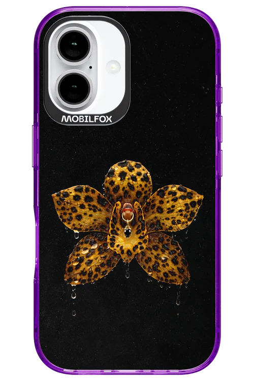 Wet & Wild 2.0 - Apple iPhone 16 - Image 8