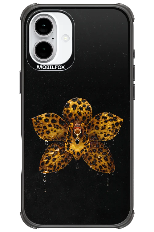 Wet & Wild 2.0 - Apple iPhone 16 Plus - Image 16