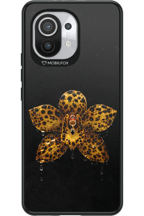 Wet & Wild 2.0 - Xiaomi Mi 11 5G